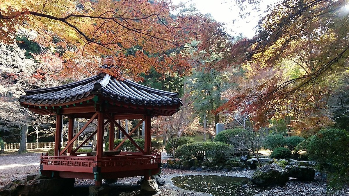 🌳 자안사 공원(지겐지코엔) 이미지 10